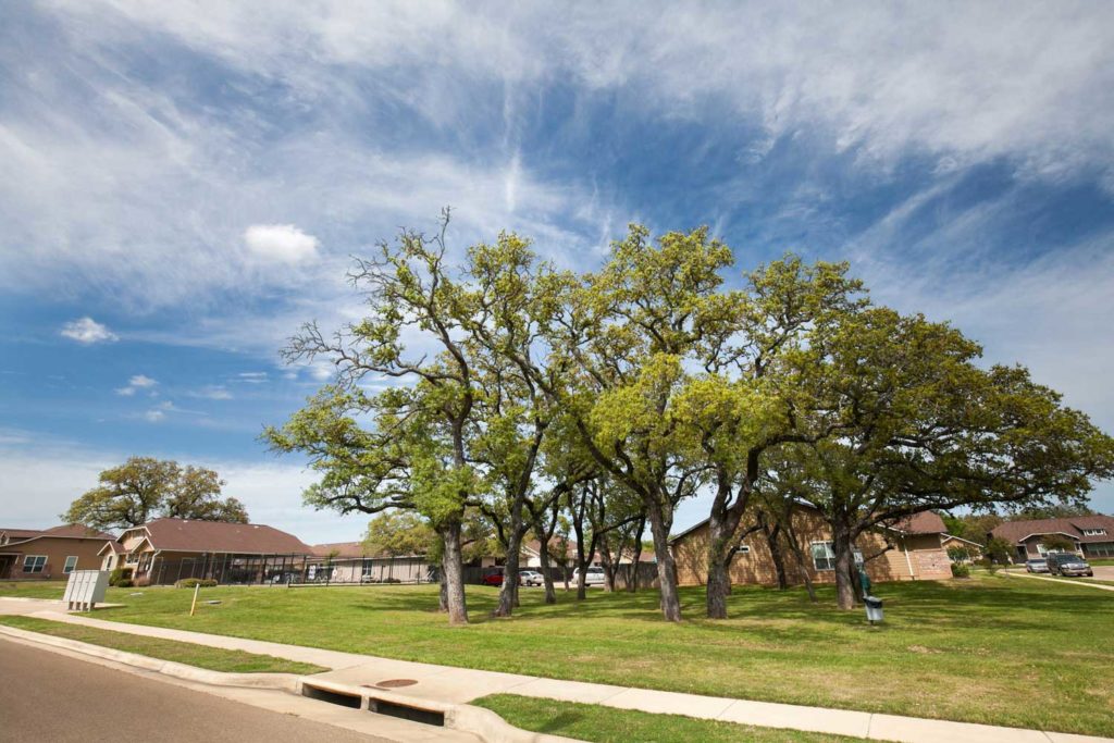 The Village at Creek Meadows; Two and Three Bedroom Pet Friendly Duplex Apartments for rent in College Station, TX near TAMU Texas A&M University